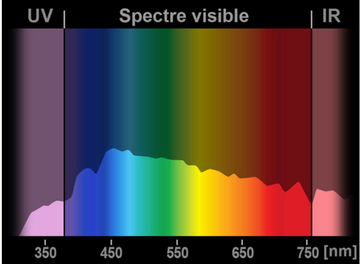 Exemple de spectre de la lumière naturelle en milieu de journée