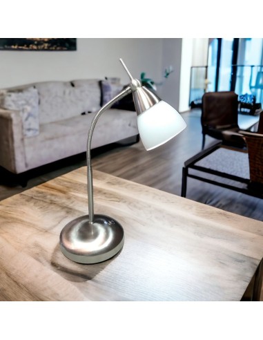 Lampe de bureau blindée en inox brossé IRONA Lampeblindée.fr - 2