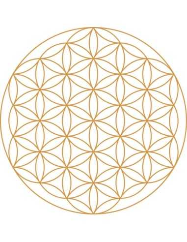 Carafe Alladin revitalisante avec fleur de vie Or 5L Nature's Design - 5L