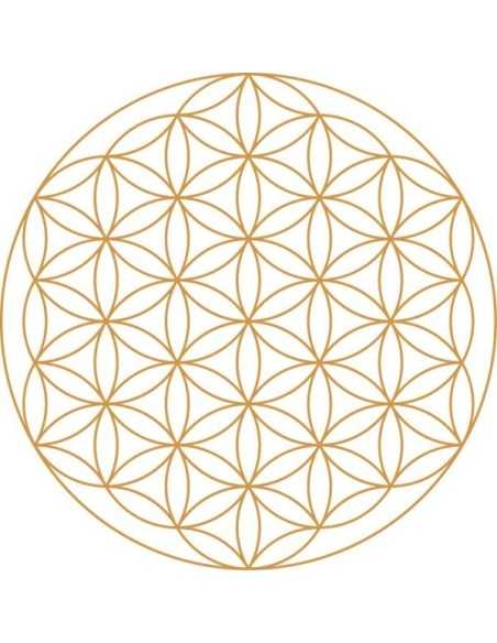 Carafe Alladin revitalisante avec fleur de vie Or 5L Nature's Design - 5L