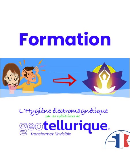 Formation d'hygiène et d'auto-diagnostic électromagnétique en ligne (vidéos)  - 1 Formation d'hygiène et d'auto-diagnostic électromagnétique en ligne (vidéos)  - 1