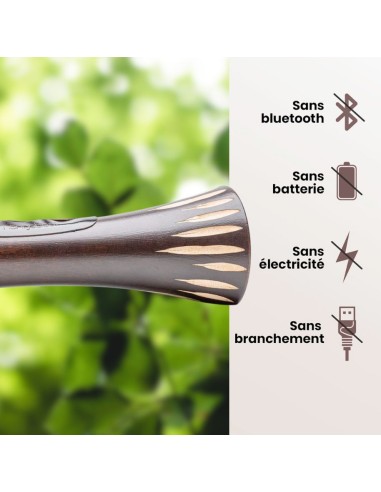 Mangobeat wengé soleil 35 cm – Enceinte en bois naturelle et sans ondes Générique - 5