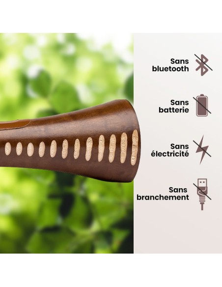 Mangobeat marron note 35 cm – Enceinte en bois et sans ondes Générique - 3