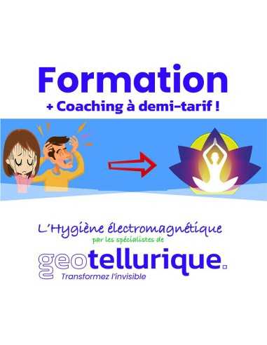 Formation d'hygiène et d'auto-diagnostic électromagnétique en ligne (vidéos)  - 3