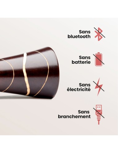 Mangobeat - Enceinte en bois de wengé zèbre - 35 cm - enceinte en bois - amplificateur de son en bois - manguebeat
