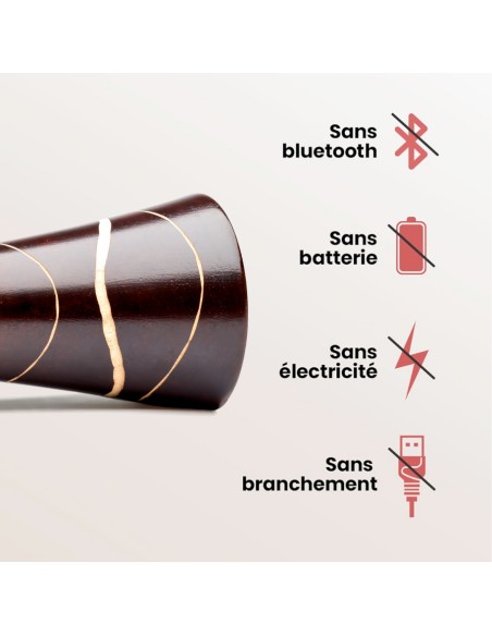 Mangobeat - Enceinte en bois de wengé zèbre - 35 cm - enceinte en bois - amplificateur de son en bois - manguebeat