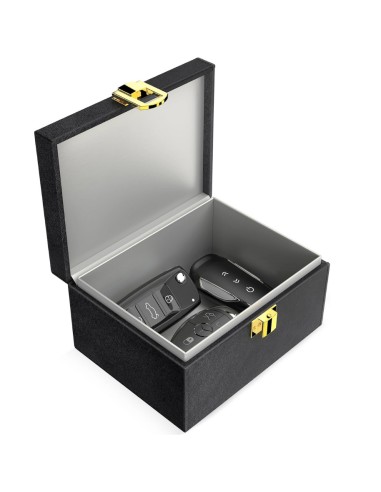 Boite faraday pour clés et objets connectés - 16x12.3x9.5 cm Geotellurique.fr - 2