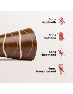 Enceinte en bois et sans ondes - Mangobeat® marron zèbre 35 cm Générique - 1 2