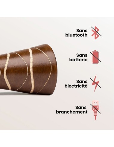 Enceinte en bois et sans ondes - Mangobeat® marron zèbre 35 cm Générique - 2