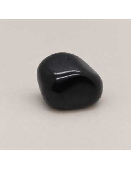Galet en shungite polies T2