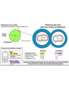 CMO MF05 - Cône de protection pour les lieux soumis aux WIFI, WIMax, DECT, bluetooth, couverture 200m² 2