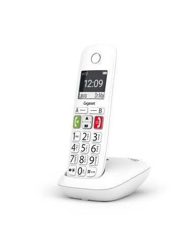 Téléphone sans fil Gigaset E290 DuoComfort Eco-DECT+ Blanc