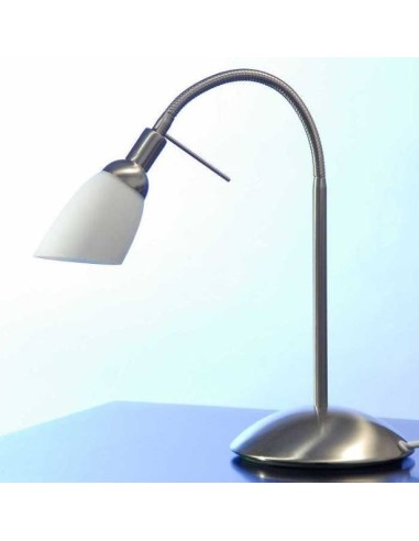 Lampe de bureau blindée en acier brossé