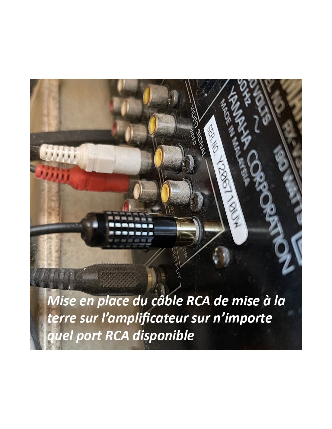 Câble RCA de mise à la terre à douille cylindrique 