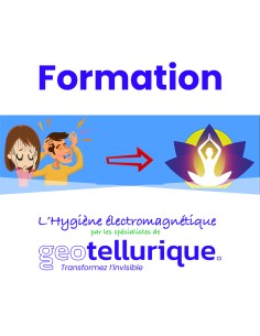 Formation auto-diagnostic et hygiène électromagnétique en ligne (vidéos)