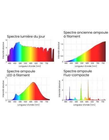 Ampoule Pure-Z-Neo LED E27 6,4 W, 650 lm, A+, BioLicht