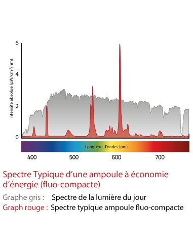 Ampoule Spot Pure-Z-Neo LED GU10 6W, 480 lm, A+, BioLicht