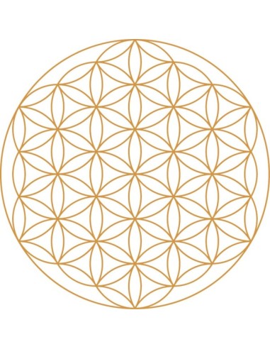 fleur de vie or, carafe fleur de vie, carafe dynamisante fleur de vie, carafe tc