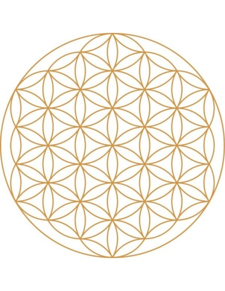 fleur de vie or, carafe fleur de vie, carafe dynamisante fleur de vie, carafe tc