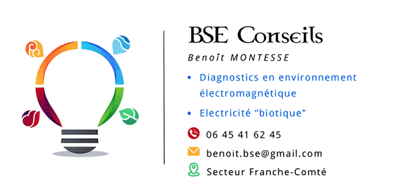 BSE Conseils