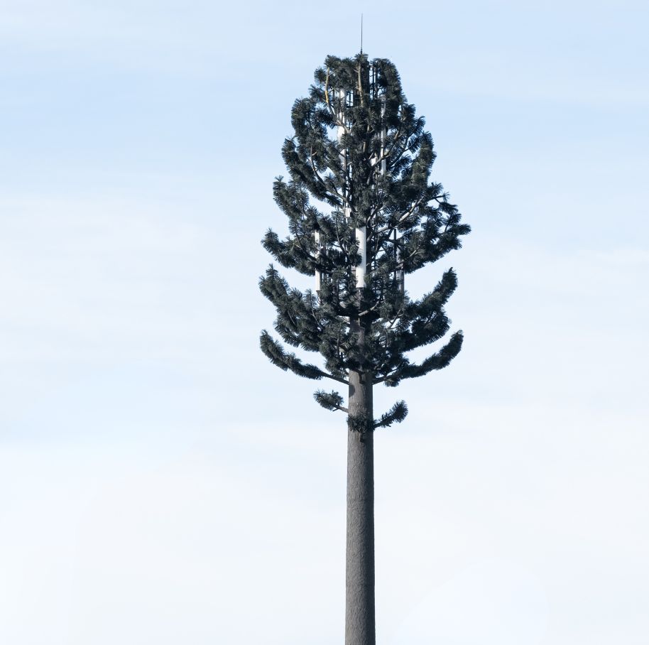 Antenne relais sapin