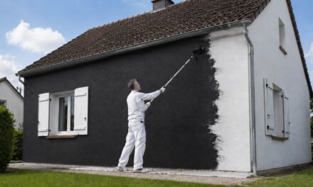 Peinture anti-ondes Yshield : quelle peinture choisir entre HSF54, PRO54, ECO54 et DRY54 et guide d’application ?
