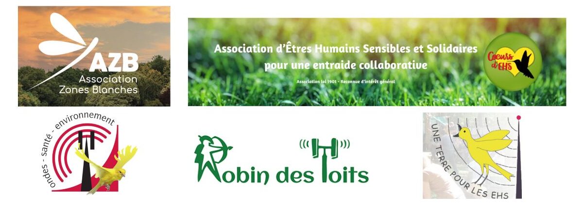 electrosensibilité : mon parcours de reconstruction et de mieux-être - associations d'EHS