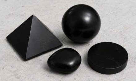 Pierre de shungite : propriétés, guide d’achat et usages au quotidien