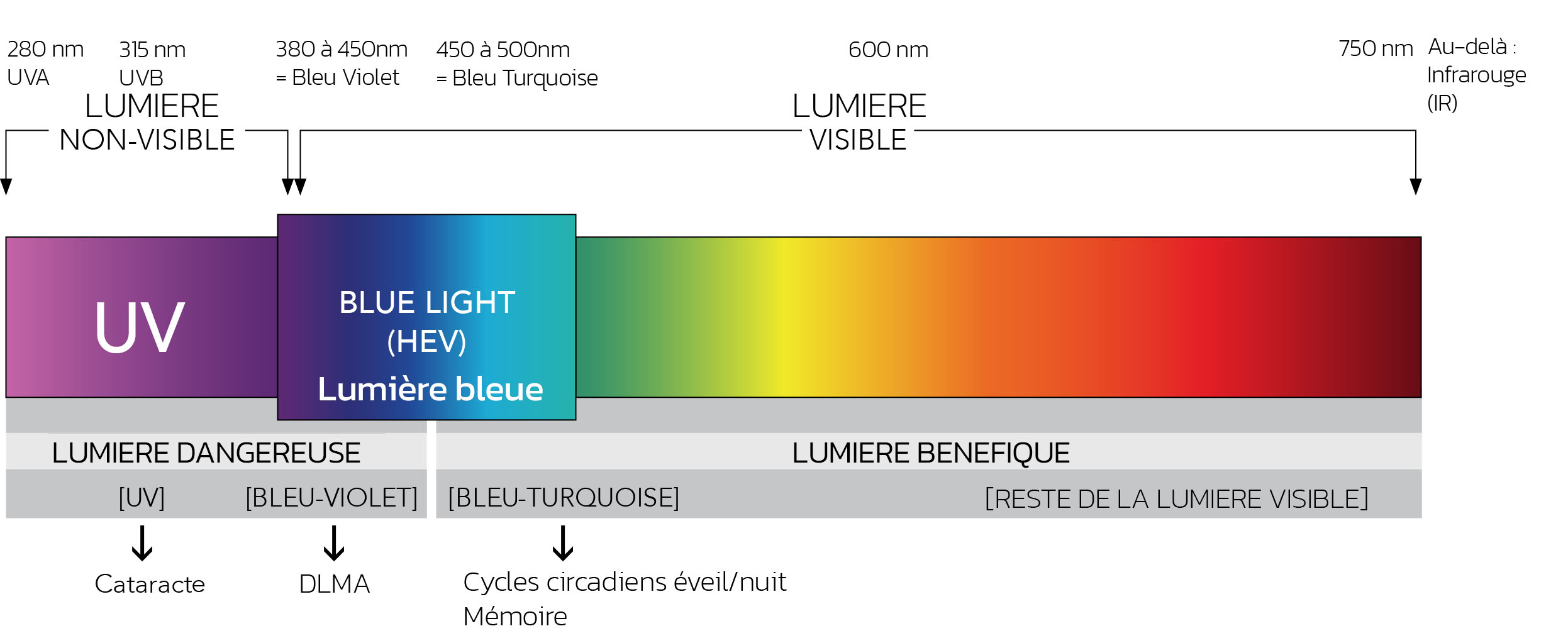 Spectre électromagnétique visible